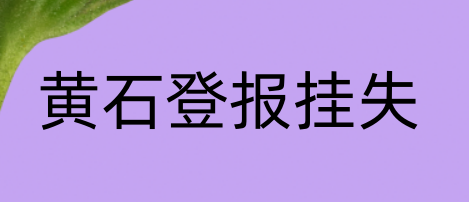 1669707065375945.png