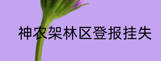 1669707497755599.png